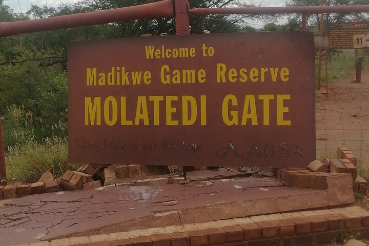 Private Transfer from Johannesburg Hotel and Aiport to Madikwe - Photo 1 of 4